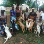 Goats helping women in Malawi