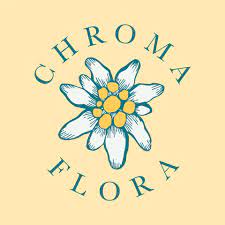 alberta canada home of hope sponsor silent auction chroma flora valeria tsoi