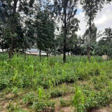land rural kenya - future self-sustaining land